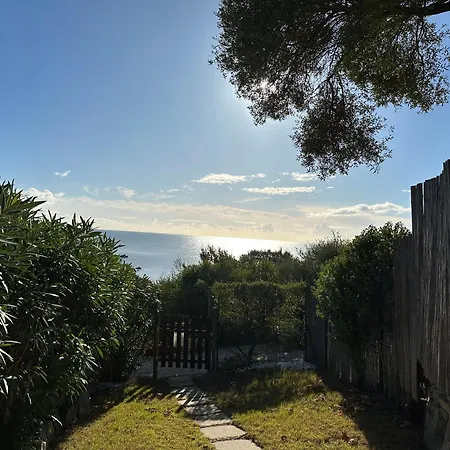 Domus Tom With Sea View *